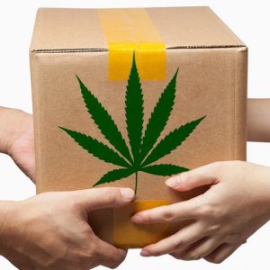 Beste praktijken voor levering en transport van cannabis | Groene CultuurED