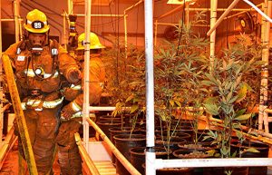 Brandschutz in der Cannabisindustrie | Grüne Kultur