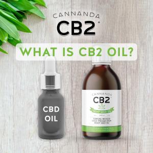 CBD oil vs Cannanda CB2 Hemp Seed Oil