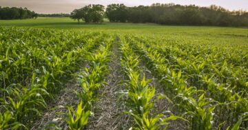 Common questions in soil carbon monitoring | GreenBiz