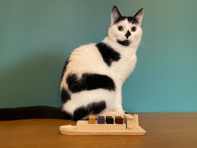 A small, simplified model of a container ship on a table, with a black and white cat sat behind it.