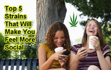 CANNABIS STRAINS TO BE MORE SOCIAL