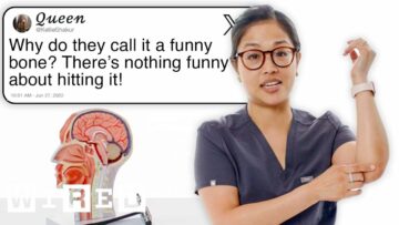 Dr. Natalie Cheng Answers Nerve Questions