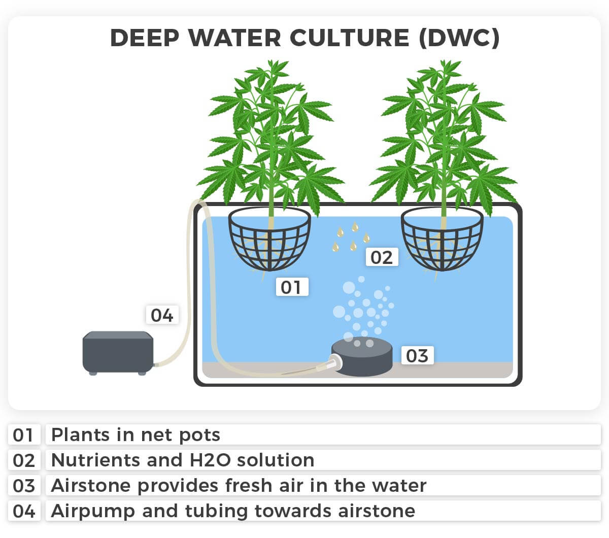 Infographic basic setup and nutrient loop DWC system