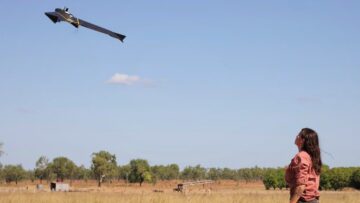 monopolizzare i cieli: un nuovo studio traccia i maiali selvatici con i droni