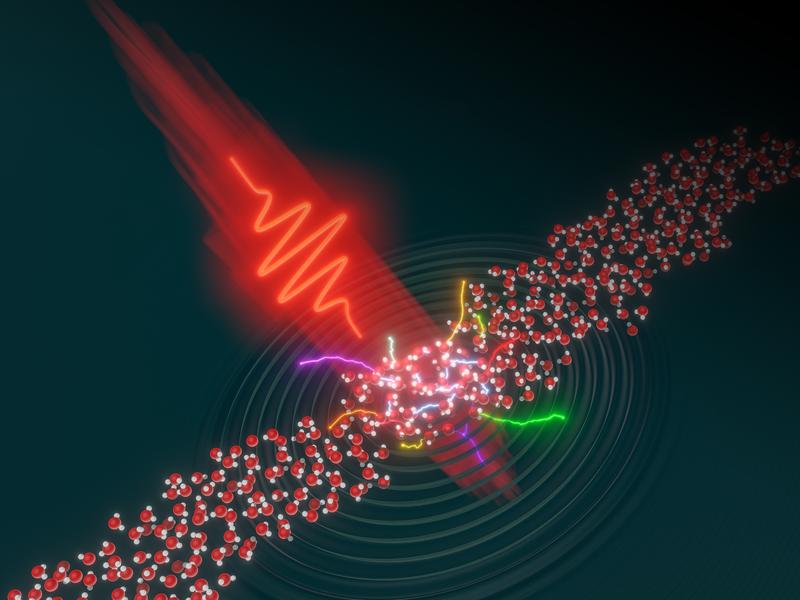 強力なレーザーが液体の電子ダイナミクスに新たな光を当てる