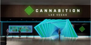 Las Vegas's Sphere Gets A Weed Themed Competitor