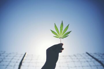 Last Prisoner Project’s State of Cannabis Justice Report Highlights Sobering Realities