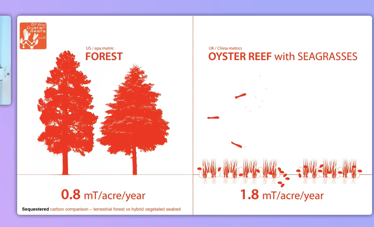 A page from Grow Oyster Reefs' pitch at Bloom 23.