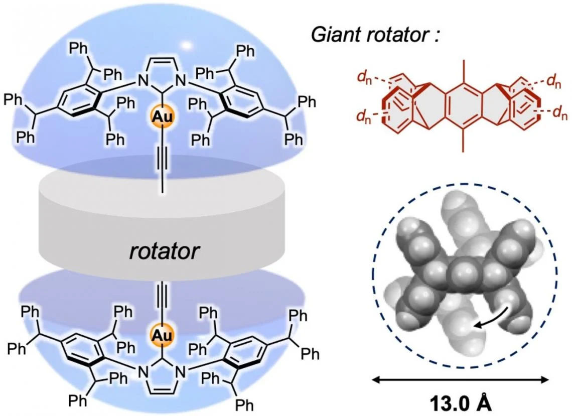(Esquerda) Representação do rotor molecular gigante ligado a complexos metálicos em forma de guarda-chuva. (Direita) Vista lateral e superior do rotor molecular, mostrando sua estrutura, tamanho e sentido de rotação