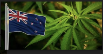 Mídia sobre maconha: Cannabis no Limboland; Canabidiol sem receita; Nova lei das Ilhas Cook chegando - Conexão do Programa de Maconha Medicinal
