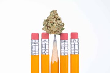 Michigan K-12 Students Could Use Medical Pot on School Grounds Under New Bill