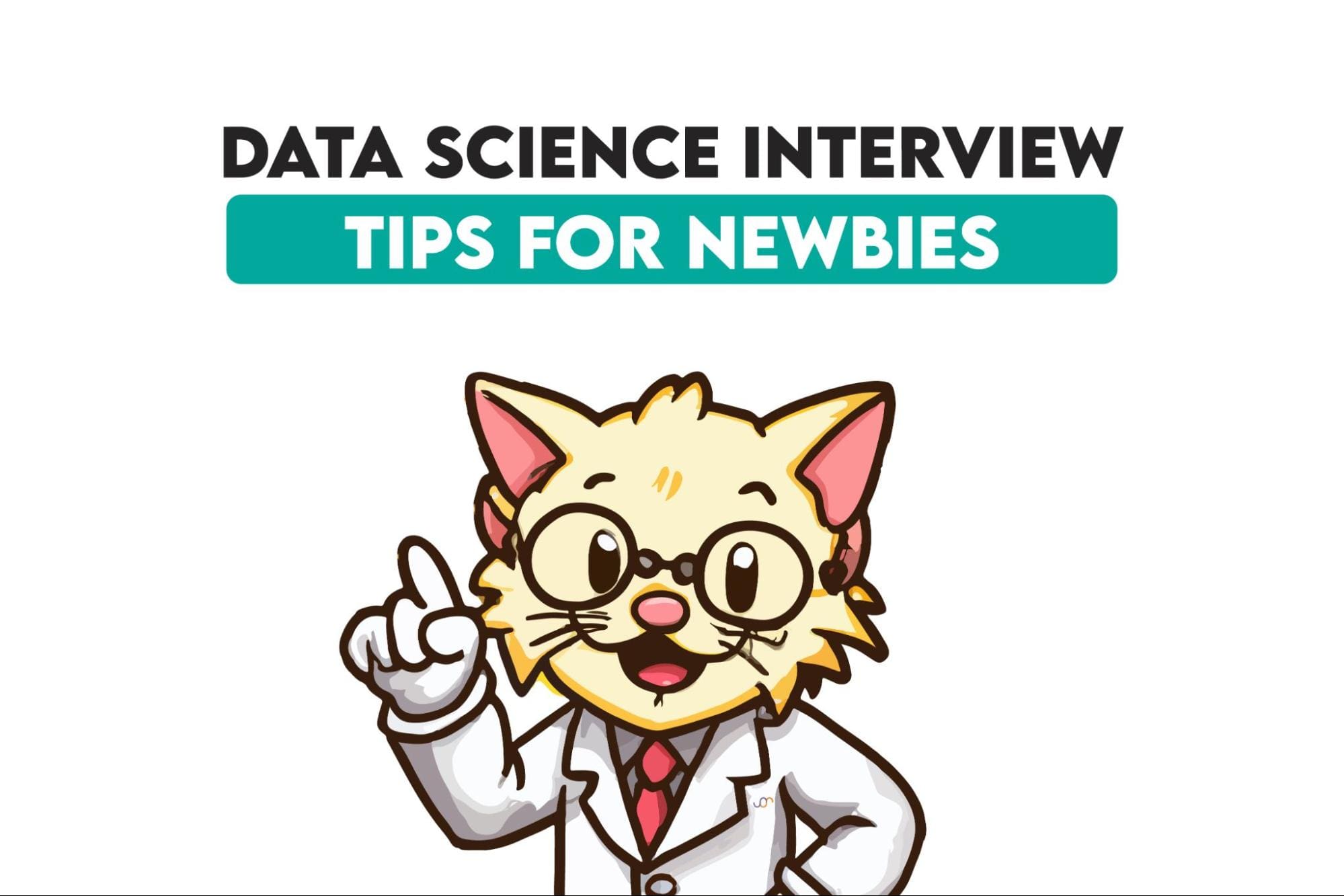 More Tips for Successfully Navigating Beginner Data Science Job Interviews - KDnuggets