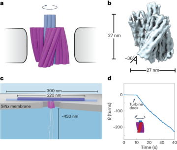 Nanoturbine driven by flow across a nanopore - Nature Nanotechnology