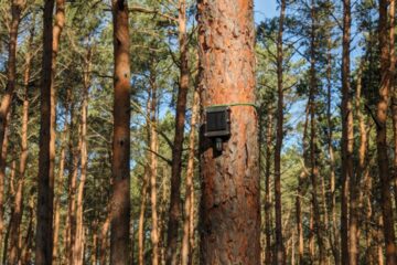 الصندوق الوطني ينشر أجهزة استشعار لحرائق الغابات في المملكة المتحدة لأول مرة | إنفيروتيك