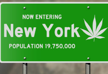Cannabis di New York: stime del numero di licenza