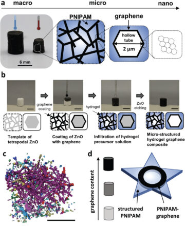 Overcoming limitations of hydrogel actuators with graphene microtubes