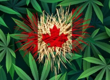 Czysty dym, bez ognia – 3 lata po legalizacji Kanada radzi sobie całkiem nieźle, wprawiając w oszołomienie zwolenników strachu przed marihuaną