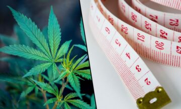 Science's Take On Marijuana For A Lean Physique