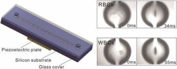 Naukowcy opracowują akustyczne pułapki 3D mikrocząstek w przepływającej cieczy