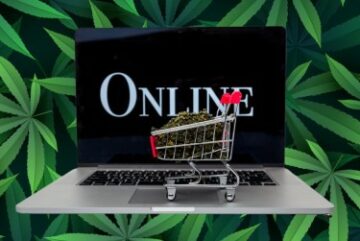 Venda para menores, cartões de débito pré-pagos, remessa para todos os estados - as lojas ilegais de cannabis estão crescendo online!