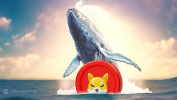 Шиба-іну (SHIB) свідків зростання кількості китів; бичачий?