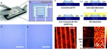 Silk nanointerfaces merge biology and electronics