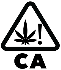 Het oplossen van cannabispijnen (naleving) | Groene CultuurED