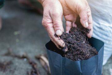A 7 legjobb talajvizsgáló készlet kultivátorokhoz 2023-ban