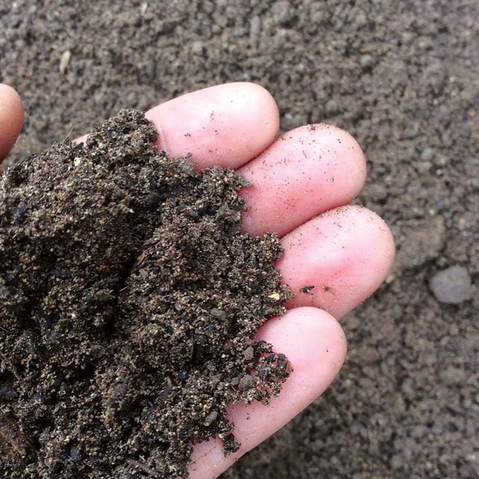 SoilScape Solutions hand in soil