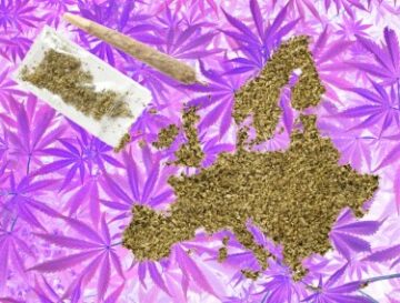 Il mercato europeo della cannabis: stai comprando o vendendo l'hype?