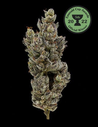 Top 10 spooky strains for a high and haunted Halloween