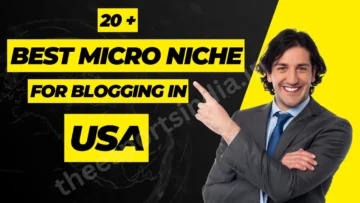 Top 20 Micro Niche For Blogging in USA 2023