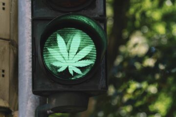 Det viktorianske parlamentet Okays med medisinsk cannabiskjøring