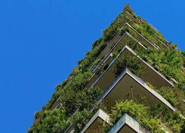 فيوليتا ميتسوفا، MClimate: تحسين الاستدامة بمبنى ذكي واحد في كل مرة