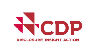 Wat is CDP-openbaarmaking?