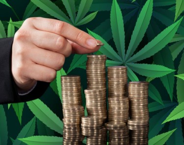 stacking taxes for cannabis sales
