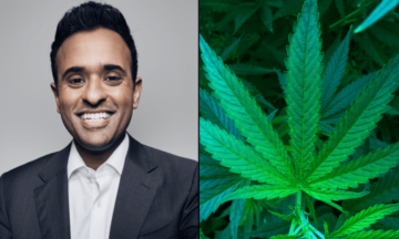 Wat is het standpunt van Vivek Ramaswamy over cannabis?