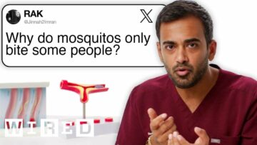 为什么蚊子只咬一些人？