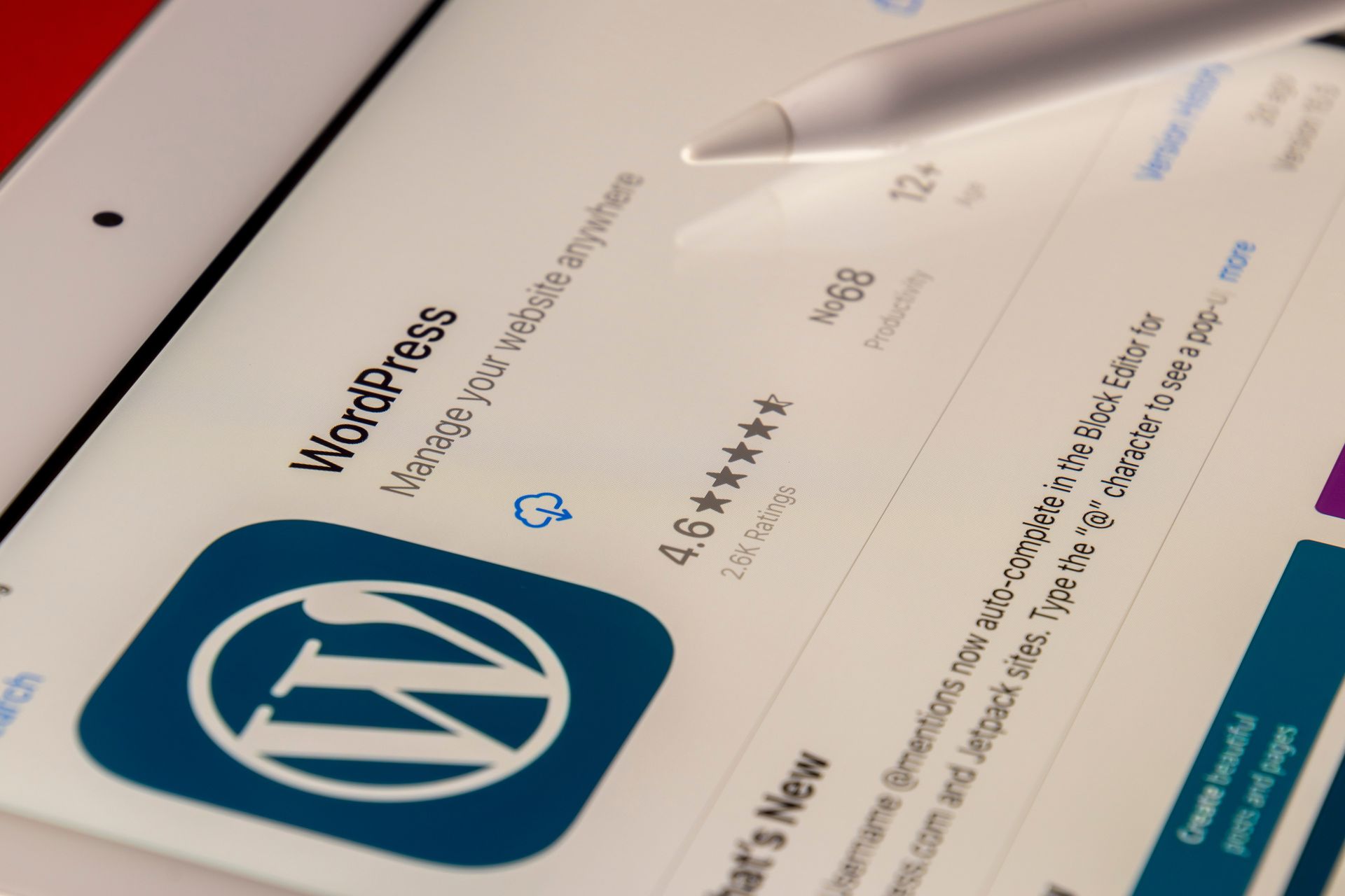您应该将网站迁移到 WordPress 的 5 个理由