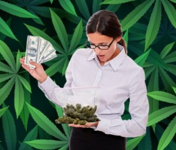 $6.91 för ett gram weed? - Vilka stater har den billigaste medicinska marijuana?