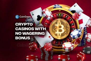 Beginners Guide to Crypto Casinos with No Wagering Bonus
