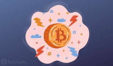 Bitcoin jest gotowy do wyjścia z upadku FTX, udowadniając swoją odporność w obliczu przeciwności losu