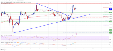 Bitcoin Price Avoids Collapse But Can Bulls Clear This Major Hurdle?