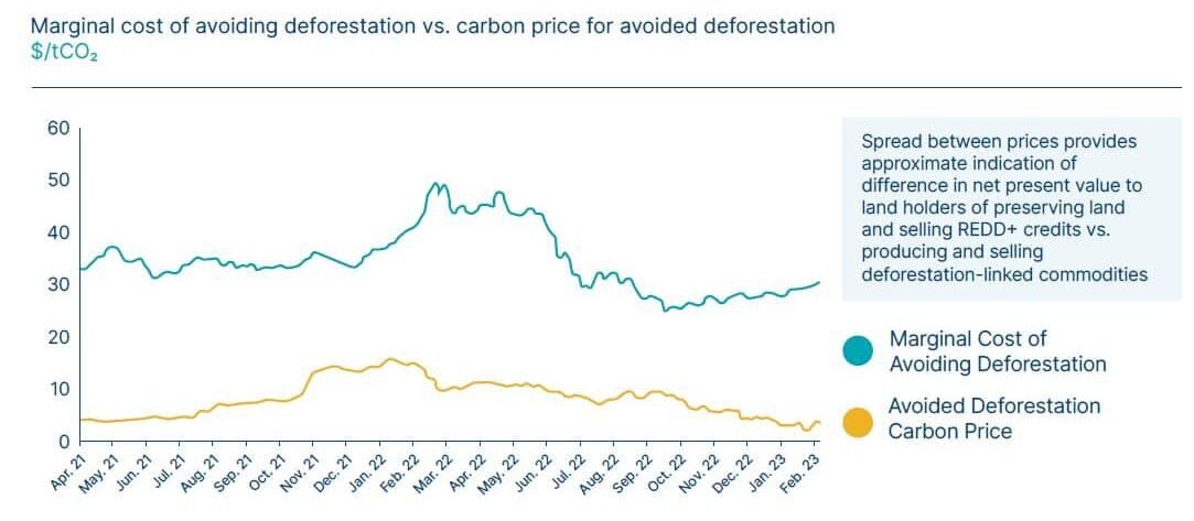 cost of deforestation vs. carbon credit price avoided deforestation