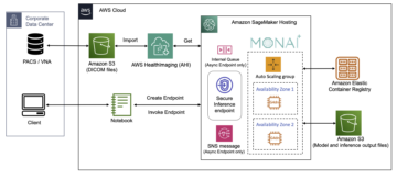 Byg en pipeline til medicinsk billeddannelse AI-inferens med MONAI Deploy på AWS | Amazon Web Services