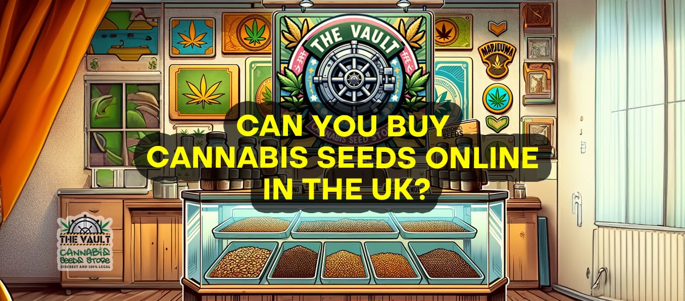 您可以在英国在线购买大麻种子吗？
