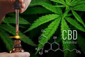 Cannabidiol (CBD) Consumer Health Market to Witness Astonishing Growth 2030 | CV Sciences, Inc., Medical Marijuana, Inc. – World News Report - Medical Marijuana Program Connection