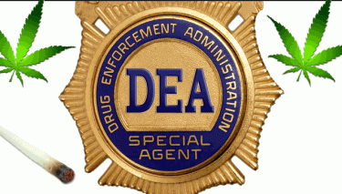 Die DEA bricht zusammen
