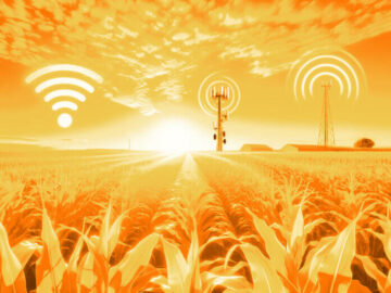 Cellular vs WiFi: ไหนดีกว่าสำหรับโครงการ IoT ของคุณ?